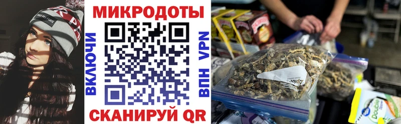 Псилоцибиновые грибы прущие грибы  Купить где  Лениногорск 
